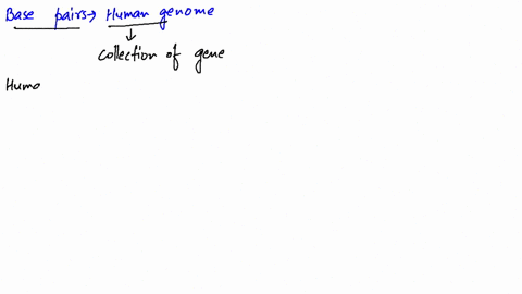 approximately-how-many-base-pairs-were-identified-in-the-human-genome-working-drafts