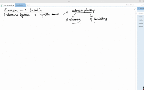 the-pancreas-increases-its-output-of-insulin-in-response-to-a-an-increase-in-blood-glucose-b-a-hormo