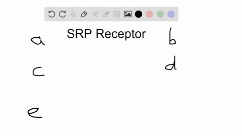 which-item-binds-to-srp-receptor-and-to-the-signal-sequence-to-guide-a-newly-synthesized-protein-t-3
