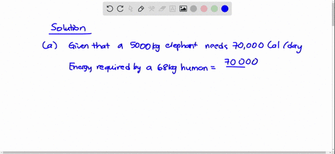 larger-animals-use-proportionately-less-energy-than-smaller-animals-that-is-it-takes-less-energy-per
