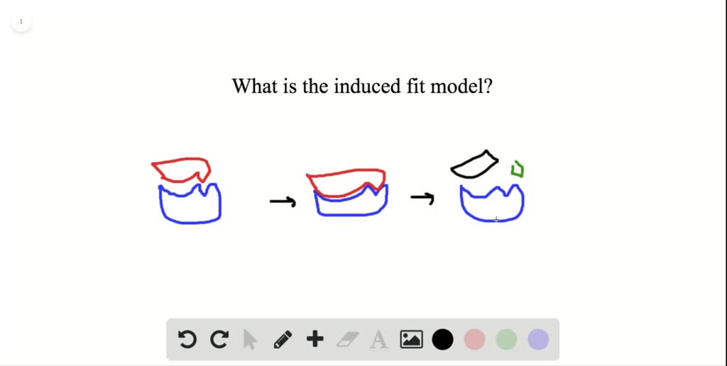 SOLVEDWhich of the following analogies best describe the inducedfit