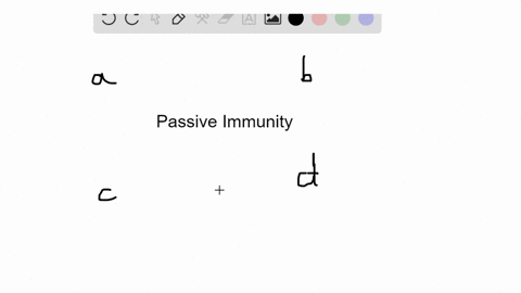 passive-immunity-a-is-permanent-b-may-result-from-immunoglobulin-injections-c-requires-memory-b-cell