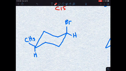 SOLVED:Is paramutation a cis- or a trans-epigenetic mechanism?