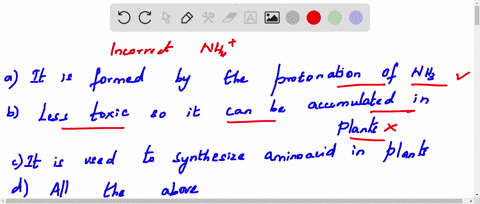 which-of-the-following-is-incorrect-about-mathrmnh_4-ion-a-it-is-formed-by-the-protonation-of-mathrm