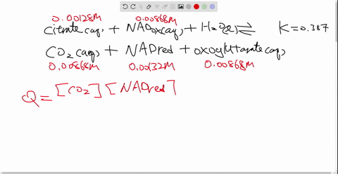 the-following-reaction-is-an-important-reaction-in-the-citric-acid-cycle-beginarrayl-text-citrateaq-