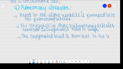 what-is-meant-by-double-circulation-what-is-its-significance