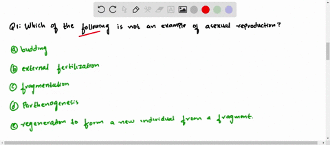 which-of-the-following-is-not-an-example-of-asexual-reproduction-a-budding-b-external-fertilization-