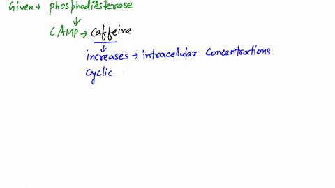 the-phosphodiesterase-that-catalyzes-hydrolysis-of-cyclic-amp-is-inhibited-by-caffeine-what-overall-