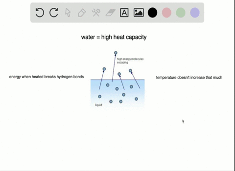 water-can-absorb-and-store-a-large-amount-of-heat-while-increasing-only-a-few-degrees-in-temperature