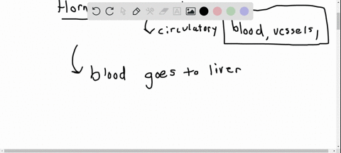 which-of-the-following-contributes-to-a-long-half-life-for-a-circulating-hormone-a-the-number-of-rec