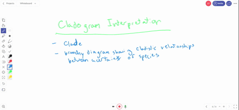 in-interpreting-a-cladogram-a-we-can-identify-the-specific-ancestor-of-each-taxon-by-tracing-each--2