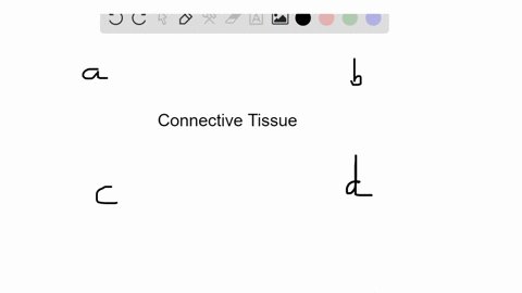 Solved:which Connective Tissue Specializes In Storage Of Fat? A. Tendon B.  Adipose Tissue C. Reticular Tissue D. Dense Connective Tissue Solved:which Connective Tissue Specializes In Storage Of Fat? A. Tendon B.  Adipose Tissue C. Reticular Tissue D. Dense Connective Tissue
