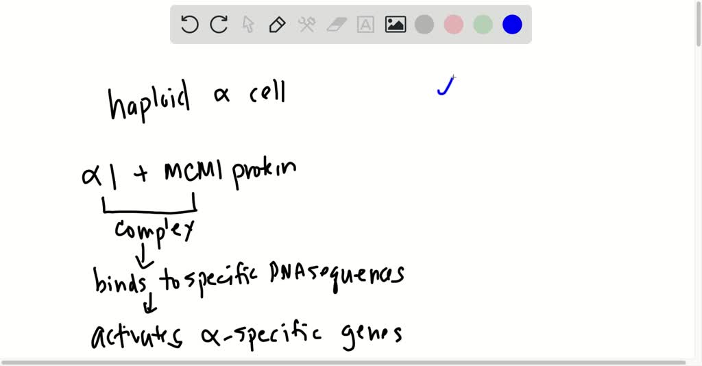 solved-describe-alpha-complementation-what-are-the-necessary