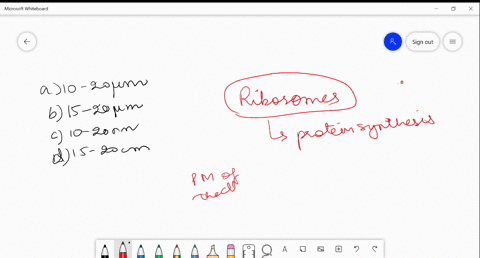 what-is-the-size-of-ribosomes-a-10-20-mu-mathrmm-b-15-20-mathrmnm-c-10-20-mathrmnm-d-15-20-mathrmcm