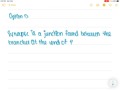the-junction-between-the-axon-of-one-neuron-and-the-dendrite-of-the-next-is-called-a-constant-bridge