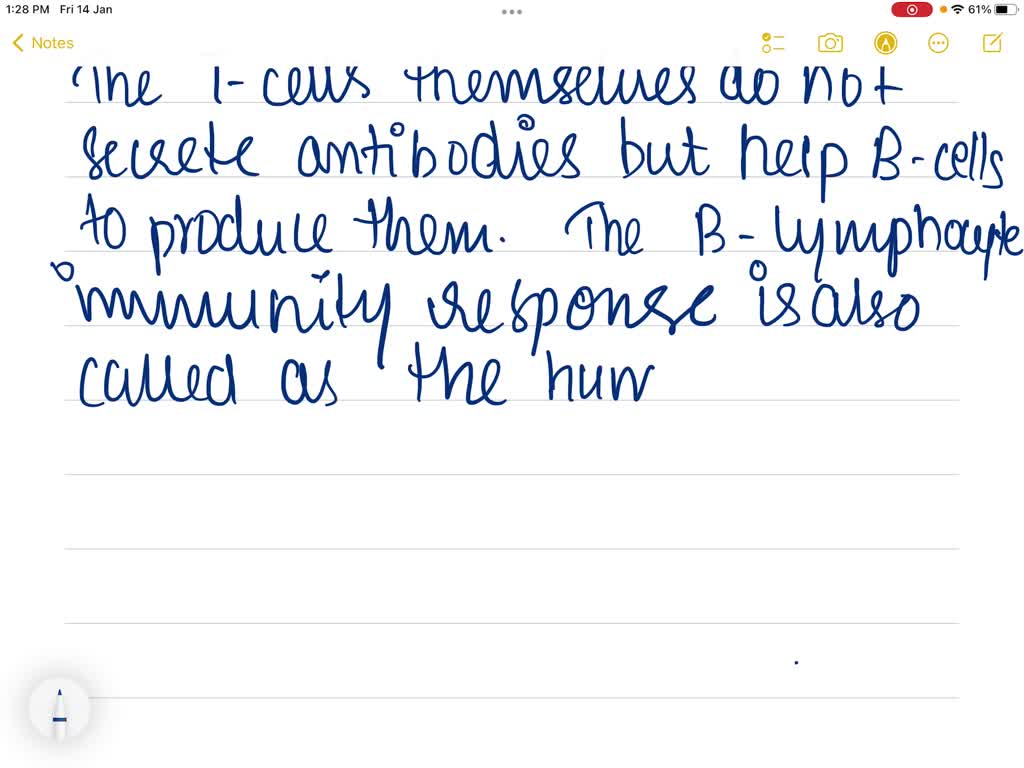SOLVEDWhich type of immune cell produces antibodies? (A) T lymphocytes