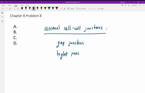 which-of-the-following-is-not-a-cellcell-junction-in-animals-a-desmosomes-b-quad-gap-junctions-c-pla
