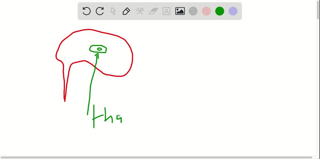 SOLVEDYour psychology professor refers to this as the great relay