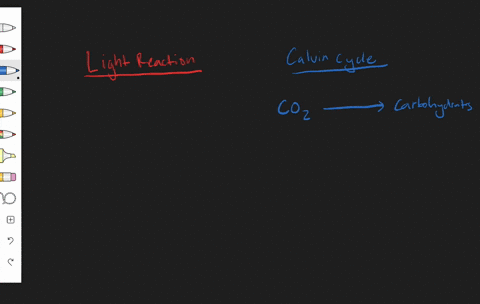 short-answer-explain-why-the-calvin-cycle-depends-on-light-reactions