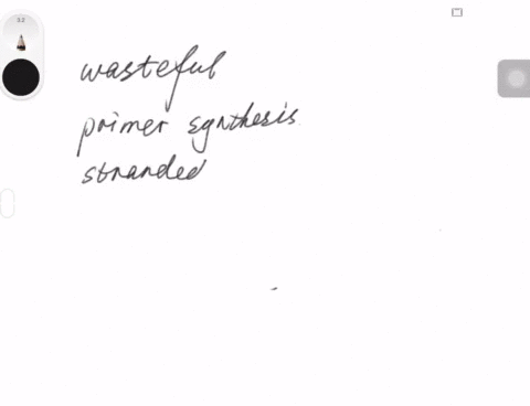 discuss-the-following-statement-primase-is-a-sloppy-enzyme-that-makes-many-mistakes-eventually-the-5