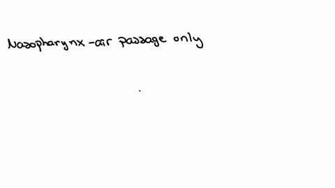 name-the-three-parts-of-the-pharynx-state-whether-each-is-an-air-passage-only-or-an-air-and-food-pas