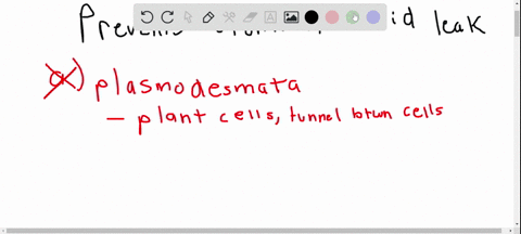 what-type-of-cellular-junction-prevents-stomach-acid-from-leaking-into-the-abdomen-and-digesting-int