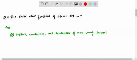 the-three-main-functions-of-stems-are-a-support-conduction-and-photosynthesis-b-support-anchorage-in