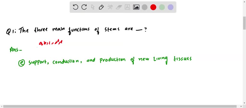 SOLVED:The three main functions of stems are (a) support, conduction ...