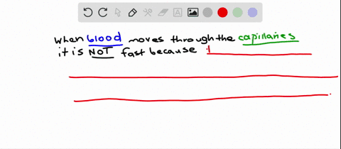 blood-flow-through-capillaries-is-slow-because-a-lots-of-blood-volume-is-lost-from-the-capillaries-b