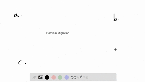 which-hominin-was-likely-the-first-to-migrate-long-distances-a-h-ergaster-b-h-antecessor-c-h-neander