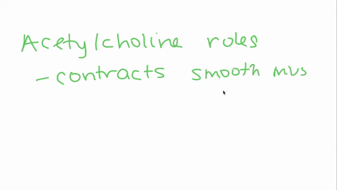 what-is-the-role-of-acetylcholine