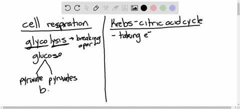 match-the-event-with-its-most-suitable-description-_____glycolysis-_____fermentation-_____krebs-cycl