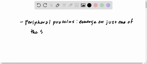 what-is-the-difference-between-peripheral-and-integral-proteins