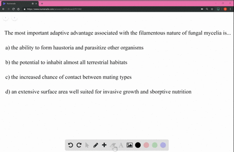 the-most-important-adaptive-advantage-associated-with-the-filamentous-nature-of-fungal-mycelia-is-be