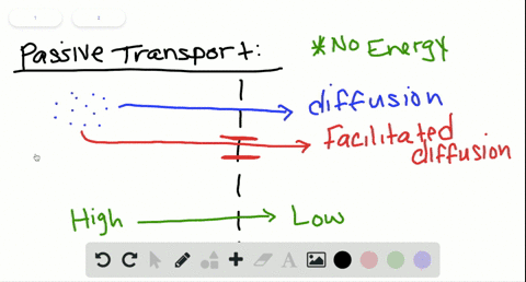 a-transport-protein-requires-atp-to-pump-sodium-ions-across-a-membrane-this-is-a-case-of-__________-