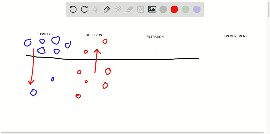 What do osmosis, diffusion, filtration, and the movement of ions away
