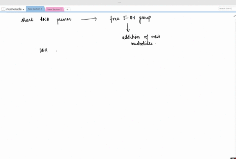 why-is-a-short-rna-primer-needed-for-replication-2