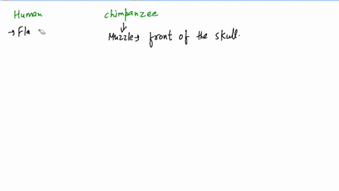how-is-the-human-skeleton-like-that-of-a-chimpanzee-skeleton-whats-the-major-difference-page-529