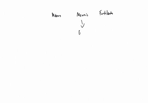 sketch-the-relationship-between-mitosis-meiosis-and-fertilization-in-a-sexual-life-cycle