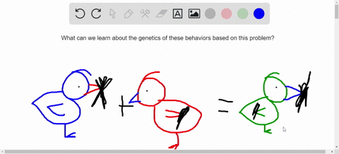 animal-behaviorists-observed-that-one-species-of-lovebird-carries-nest-building-materials-in-its-bea