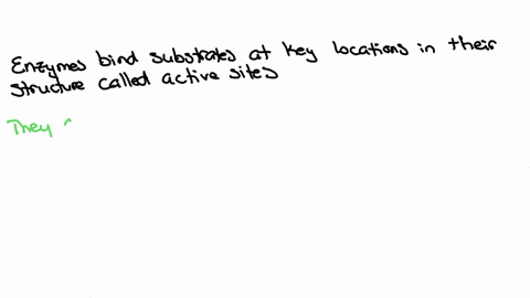 in-what-way-are-the-substrate-and-active-site-of-an-enzyme-related