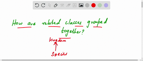 related-classes-are-grouped-together-in-the-same-a-genus-b-phylum-c-order-d-paraphyletic-taxon-e-fam