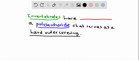 the-polysaccharide-that-forms-the-hard-outer-covering-of-many-invertebrates-is-a-collagen-d-pectin-b