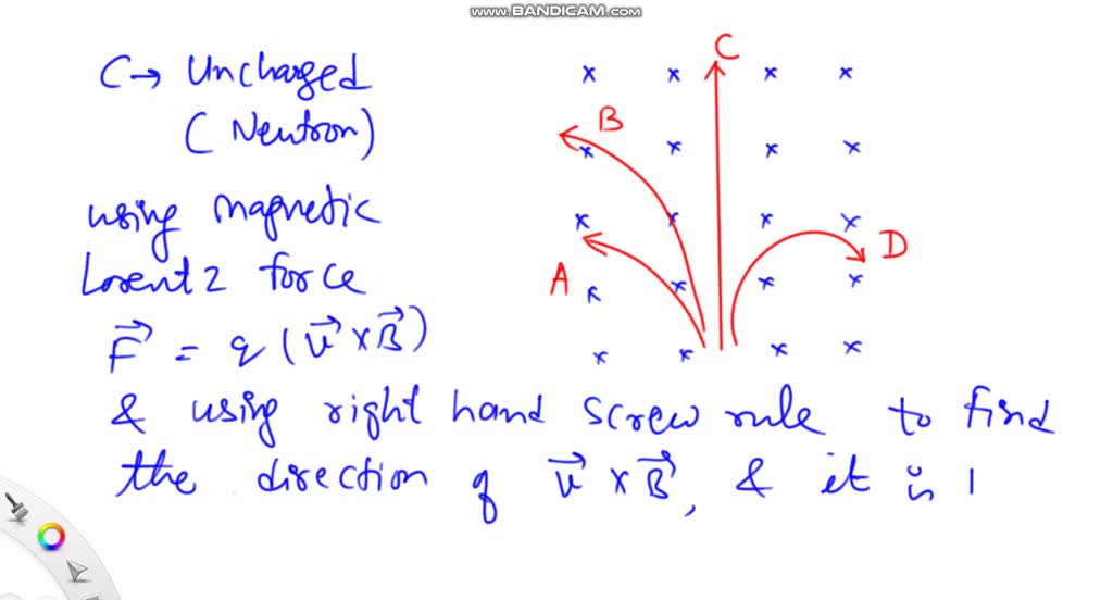 mass of proton electron neutron and alpha particle