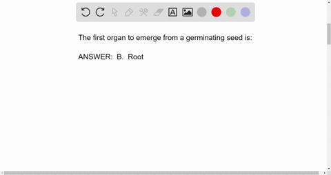 the-first-organ-to-emerge-from-a-germinating-seed-is-the-_________-a-axillary-bud-b-root-c-cotyledon