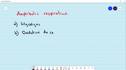 which-of-the-following-steps-of-respiration-is-amphibolic-a-glycolysis-b-oxidative-decarboxylation-o
