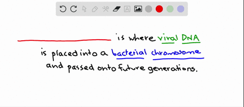 in-___-viral-dna-is-integrated-into-a-bacterial-chromosome-and-passed-to-descendant-cells-a-prokaryo