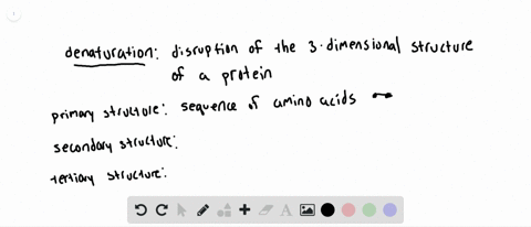 is-the-primary-secondary-or-tertiary-structure-of-a-protein-changed-by-denaturation