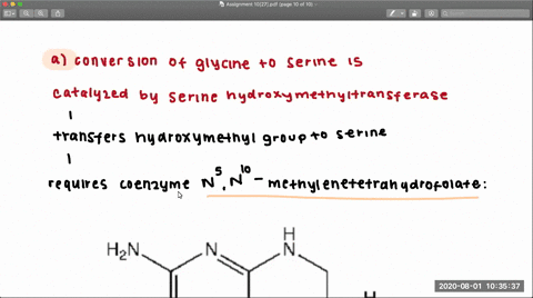 which-derivative-of-folate-is-a-reactant-in-the-conversion-of-a-glycine-into-serine-b-homocysteine-i