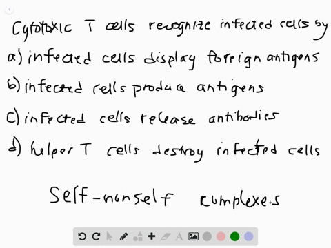 cytotoxic-t-cells-are-able-to-recognize-infected-body-cells-because-a-the-infected-cells-display-f-2